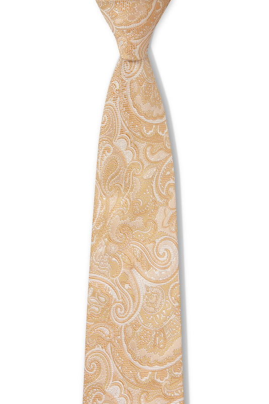 JOE BLACK TONAL PAISLEY TIE - GOLD